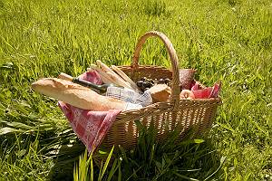 Gefüllter Picknickkorb auf sonniger Wiese