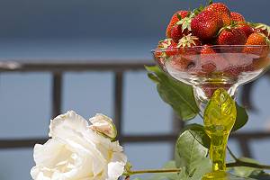 Erdbeerbecher und Rose auf sonniger Terrasse