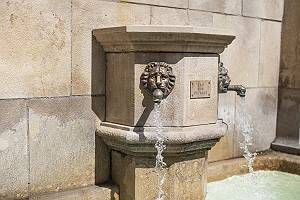 Brunnen mit Löwenkopf