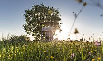 Aussichtsturm bei Blindheim durch Gräser in der Morgensonne fot