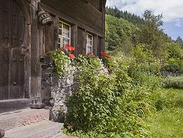 Eingang eines eingewachsenen Schwarzwaldhauses mit Blumenkästen