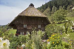 Antikes Holzhaus mit schönem Garten im Schwarzwald