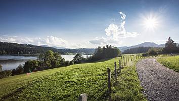 Radweg am Niedersonthofener See im Allgäu