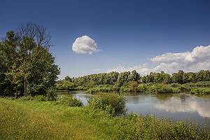Donau bei Erlingshofen im Dillinger Land, gekrönt von einzelner