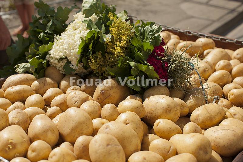 Regionale Kartoffeln auf dem Wochenmarkt