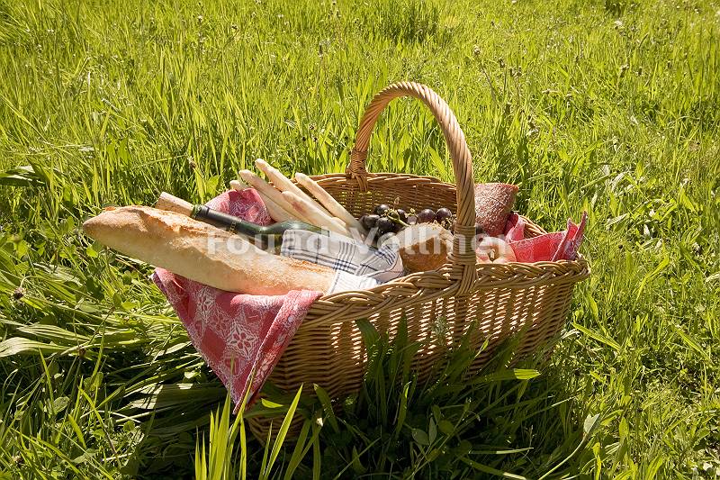 Gefüllter Picknickkorb auf sonniger Wiese