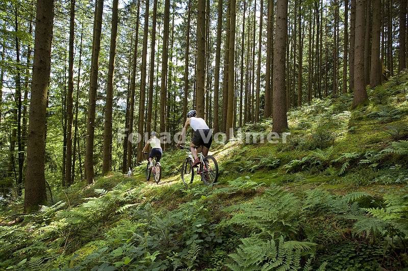 Mountainbiker auf Trail im Wald