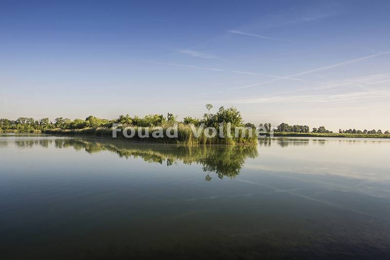 Ruhiger See in Donaumoos mit Schilf bewachsener Insel in der Mor