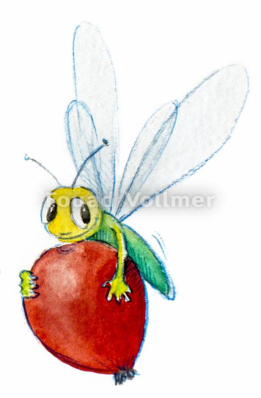 Libelle mit Apfel
