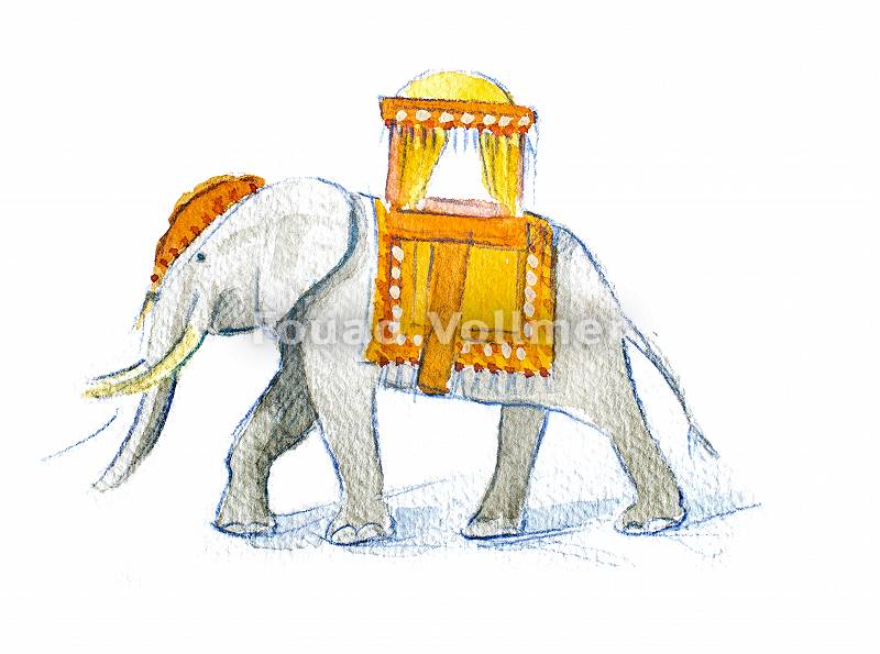 Ein Elefant mit Sattel