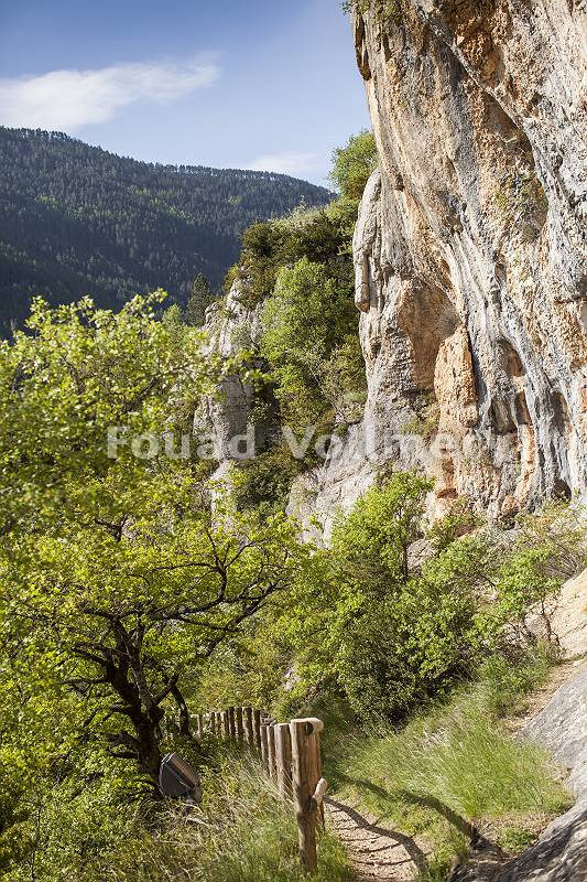 Wanderweg im felsigen Tarntal in Südfrankreich