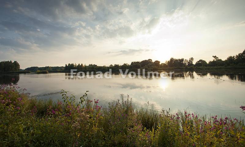 Donau vom Ufer aus bei Abendsonne