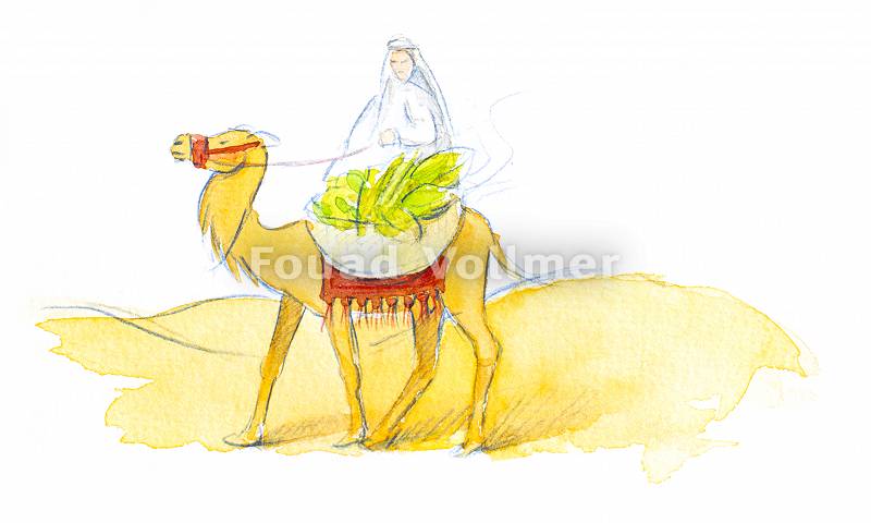 Aquarellbild einer Person, die auf einem Kamel reitet