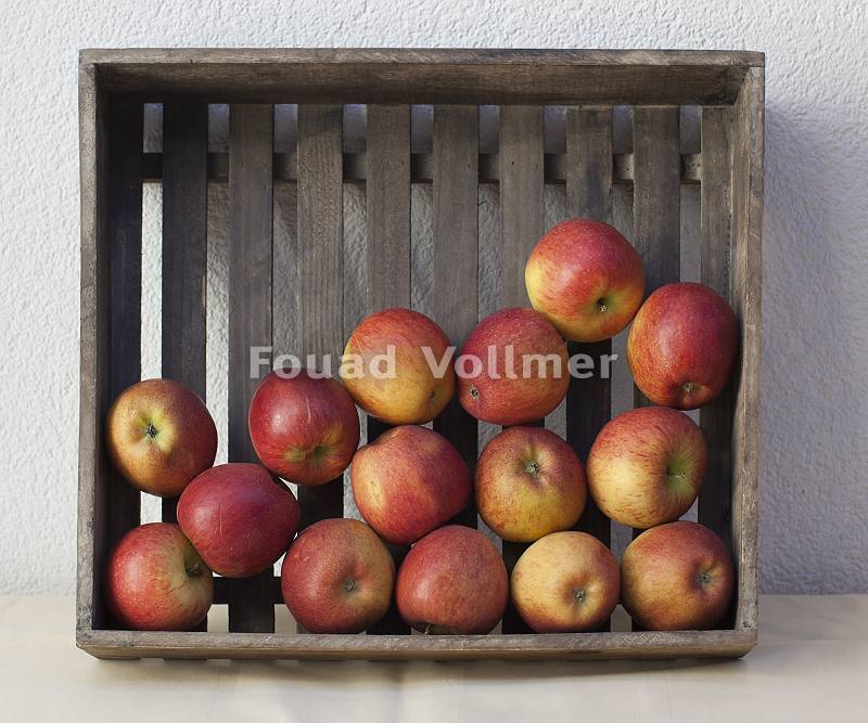Frische Äpfel in einer Holzkiste