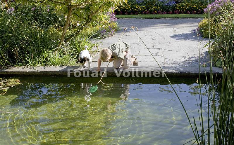 Ein Junge und sein Hund suchen nach Fischen im Teich