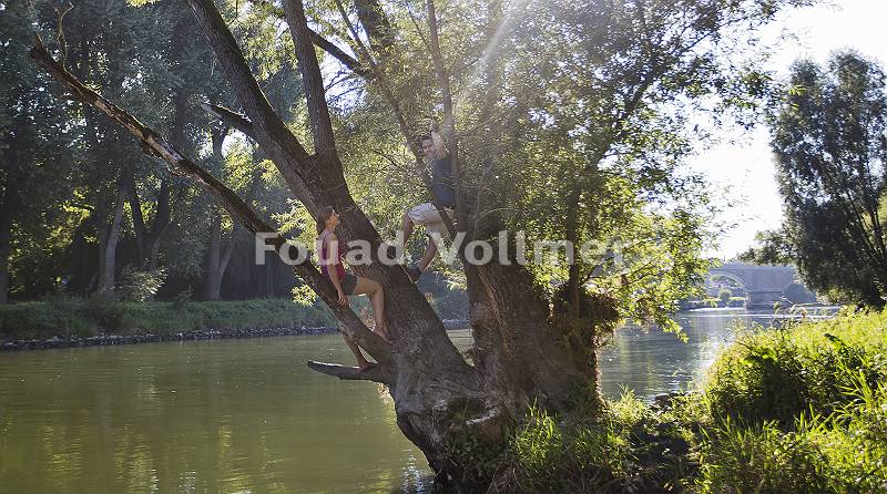 Junges Paar entspannt auf altem Baum an der Donau