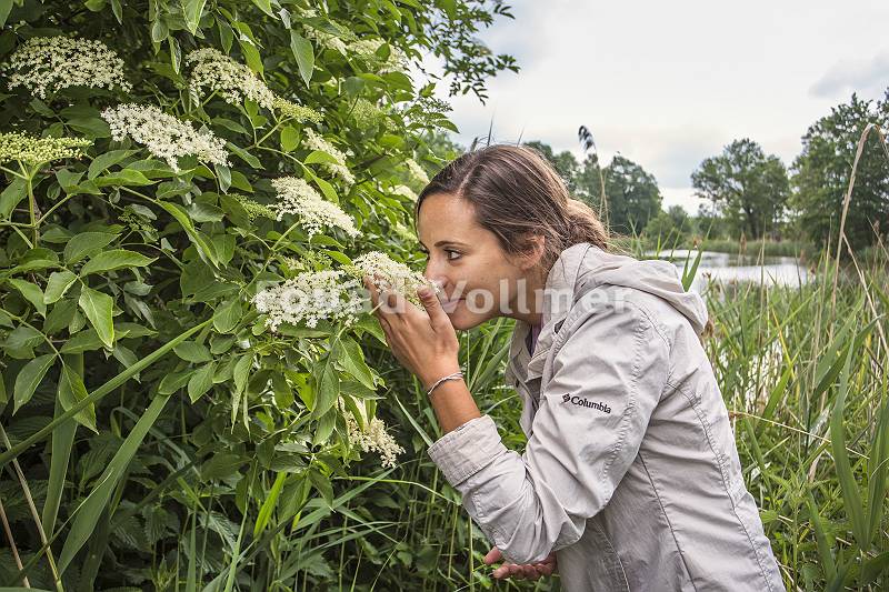 Junge Frau riecht an Holunderblüte