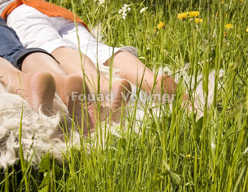 Paar liegt auf einem Fell in der Blumenwiese