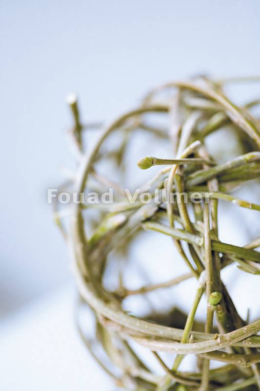 Fotografie einer Flechtkugel aus Zweigen vor weißem Hintergrund