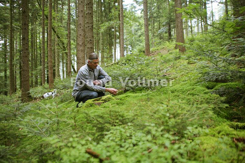 Naturerkundung im Fichtenwald